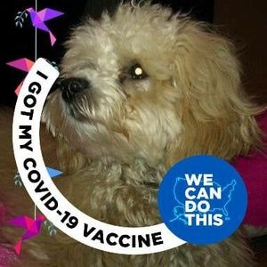 Meet your Posher, Agnes